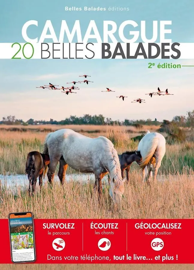 Camping L' Arlesienne  Arles